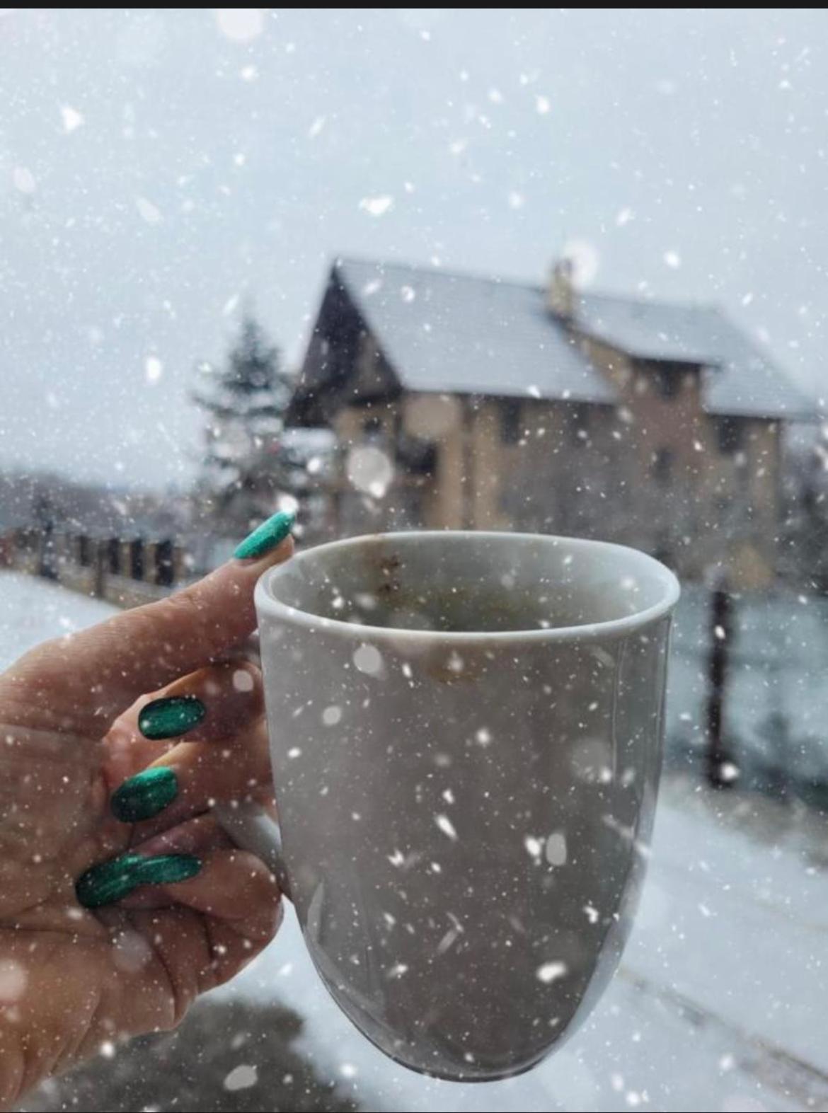 Green Apartaments Zărneşti Buitenkant foto